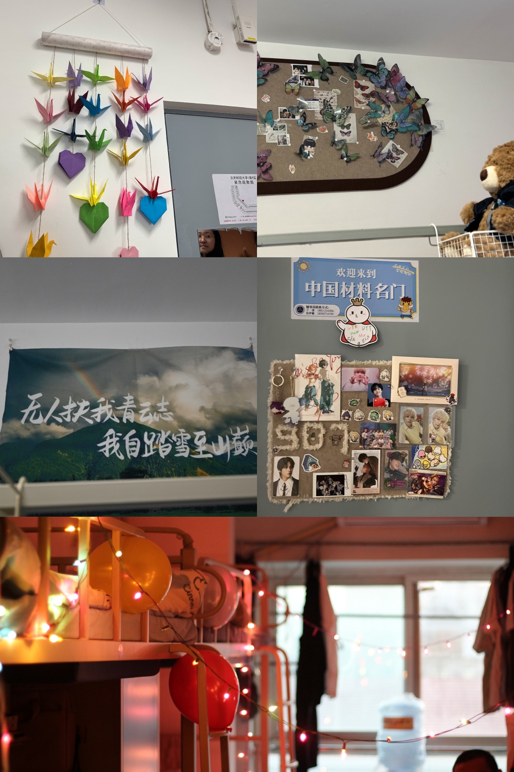 1734183751775212.jpg 1.jpg