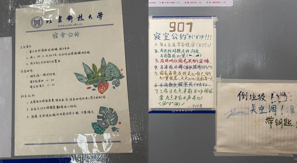 1734183758597336.jpg 2.jpg